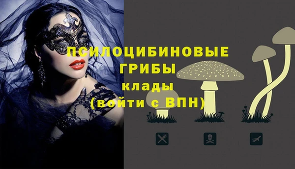 эйфоретик Лабытнанги