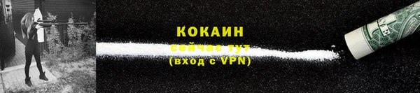 амф Ладушкин
