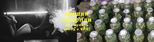 амф Ладушкин