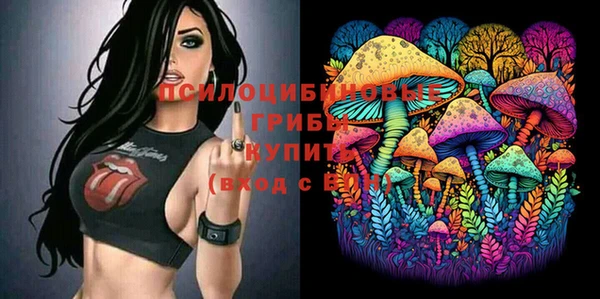 эйфоретик Лабытнанги