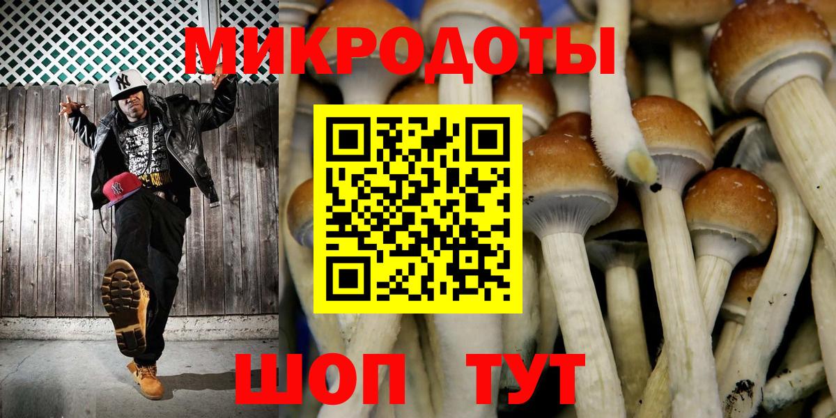 Галлюциногенные грибы GOLDEN TEACHER  Галлюциногенные грибы Cubensis  Белорецк 