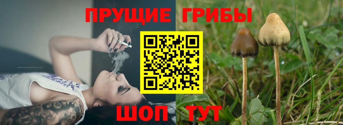 Галлюциногенные грибы мухоморы Белорецк